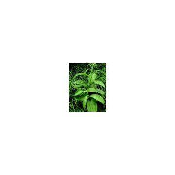 Veratrum nigrum extract