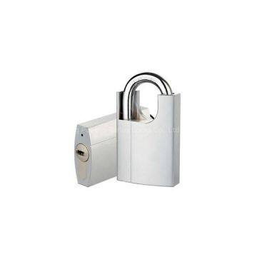 Brass Padlock With Shackle Protected ( Interchangeable Cylinder )