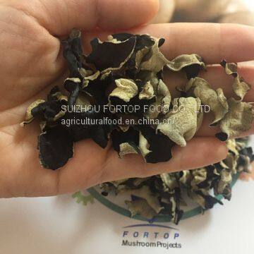 Factory Price Thick Premium Dried White Back Black Fungus Dice 2CM*2CM (AA Grade) photo-2