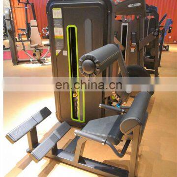High Quality Commercial Bodybuilding Pin Load Fitness Equipment Back Extension for Club Training With Cheap Price