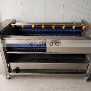 Stainless Steel Vegetable And Fruit Brush Washing Machine Brush Roller Vegetable Washer & Peeler Machine photo-2