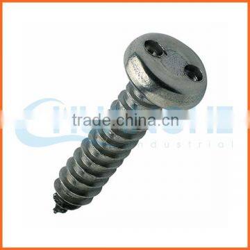 China Supplier Pan Head Anti-theft Screw photo-6