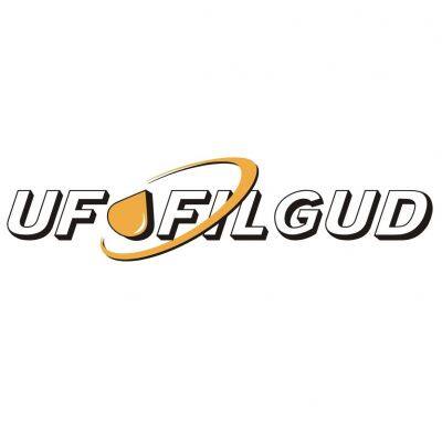 Pingyang Rongjia Vehicle Parts Firm