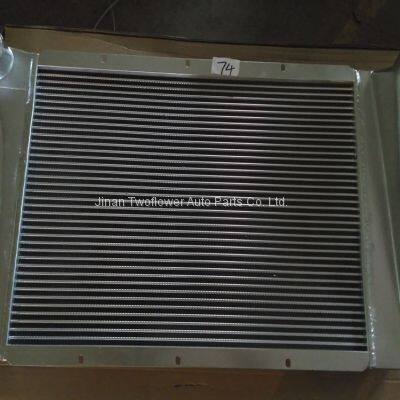 DZ9112530269 Intercooler