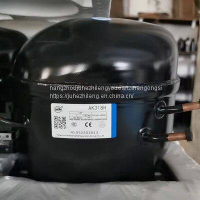 Wansheng Refrigerator Compressor R134AQD110H photo-4