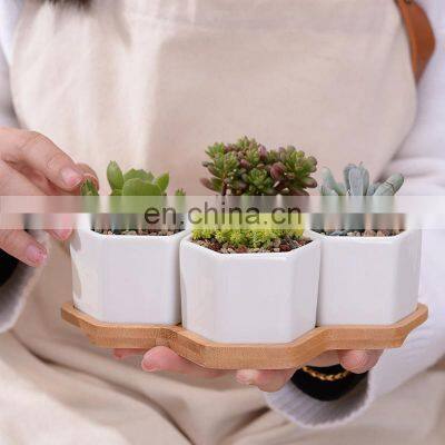 High Quality Wholesale Modern Ceramic White Hexagon Shape Planter Pot Small With Bamboo Tray