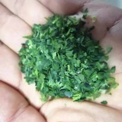 Ao Nori Powder Green Laver Powder Japanese Seaweed Powder for Ramen Topping and Okonomiyaki Seasoning - Natural Dried Seaweed