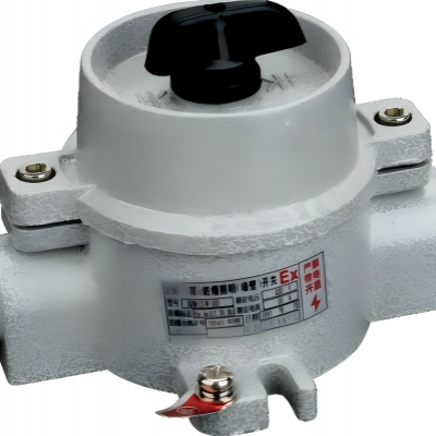 Explosion-proof Switch, Lighting Switch, Anti-corrosion Switch 220V/10A