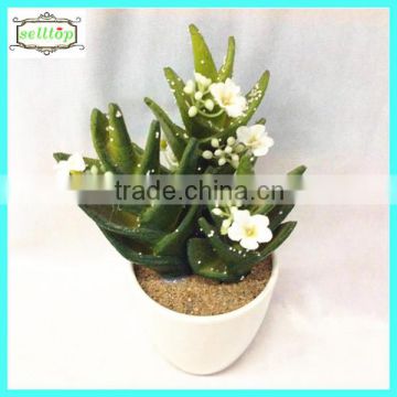 17cm high quality real touch artificial succulent pots