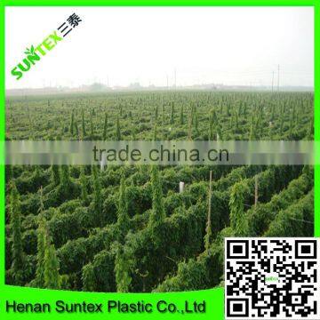 Strong Durable Pro-Net Plant Support Scrog Net GrowTent Mesh Netting photo-3