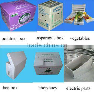 2013 hot sale food grade PP plastic containers made of pp corrugated sheet