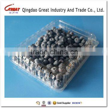 PET Food Grade Clear Disposable Blister Plastic Packaging Container for Blueberry photo-6