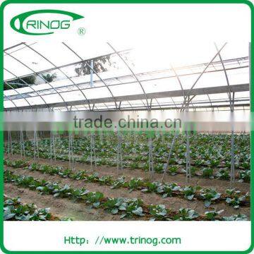 Industrial greenhouse for big area vegetable plant