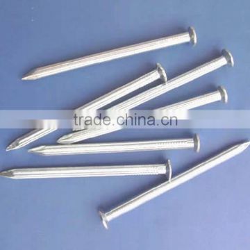 hot sale Galvanized Steel iron nails (Wholesale supplier)