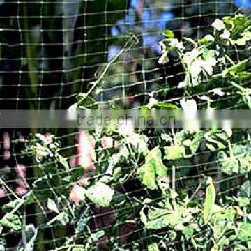 fruit cage netting/trellis netting/bug netting