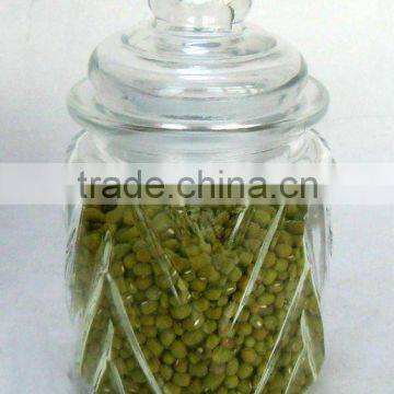 TW697G Glass Spice Jar With Glass Lid