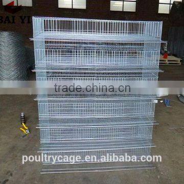 Metal Wire Mesh Layer Quail Broiler Cage For Sale( Now or Never ) photo-3