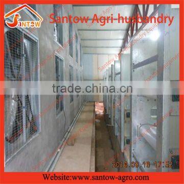 Russia Popular Supplier Hot-dipped Automatic broiler Brood cage for Meat Production