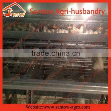 Stable Steel Structure Professional Chicken Egg Layer Cage Chicken Egg Layer House Design photo-2