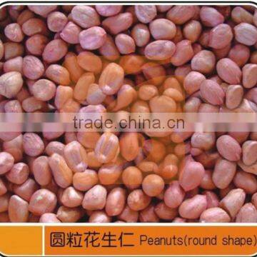 Cost Effective Automatic Good Performance Peanut Shelling Sieving Plant photo-2