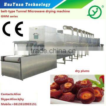 tunnel type industrial micrwave peanut dryer /sterilization machine