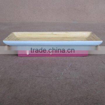 Rectangular Small Dish With Transparent Inside, Color Painting Outside