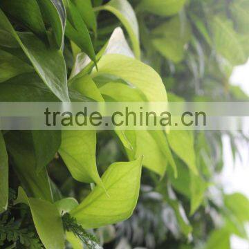 Plant Wall, Vertical Garden Green Wall Plastic Plants Walls Indoor and Outddor Use Quality Choice photo-4