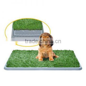 Pet Mat / Pet Toilet / Pet Patch