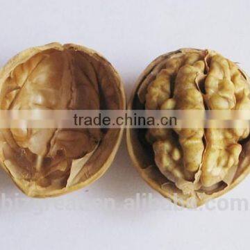 New Crop Bulk Walnut in Thin Shell for Sales photo-4