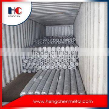 Chicken hexagonal wire mesh 10mm