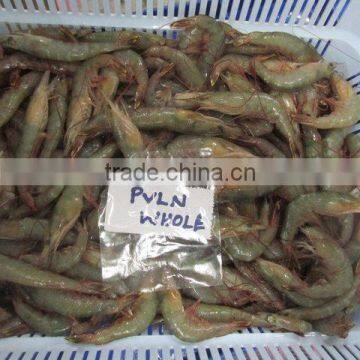 FROZEN HOSO POOVALAN SHRIMPS