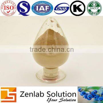 Hot Sell High Quality Ginseng Root Extract Panax Ginseng Extract Powder