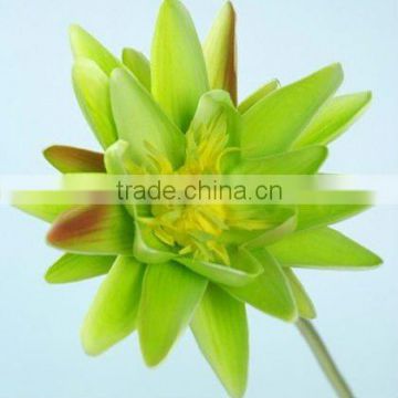 Lotus-PU Artificial Flower