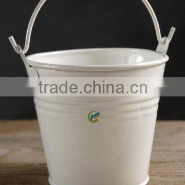 Garden Galvanized Metal Small Bucket