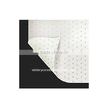 VICTORY white perforated projection screen