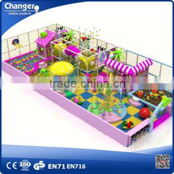 Designer top sell indoor playground, funny lovely indoor playgroud equipment