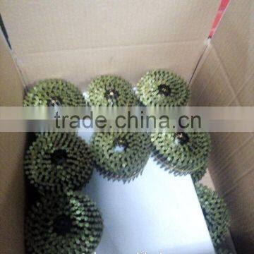 Factory on Hot Sale Coil Nail Manufacturer photo-4