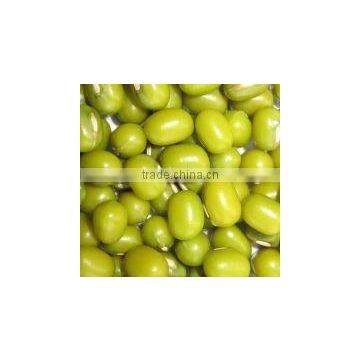 Green Mung bean beans 2010 new crop