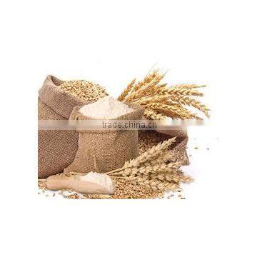 Wheat flour