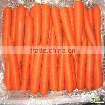 New fresh carrot harvester from China