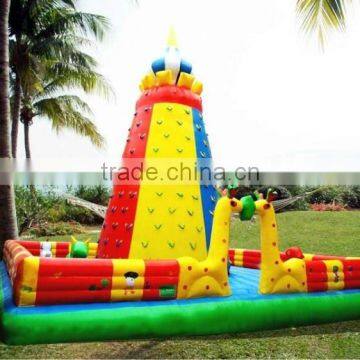 rock climbing wall for sale/small enough can for family