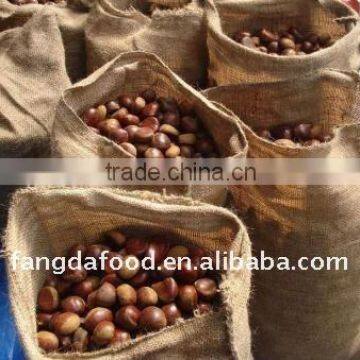 Cheap sweet chestnut,chinese chestnut