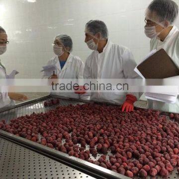 Grade A Quick IQF Strawberry Whole photo-2