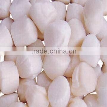 Frozen Scallops Adductor
