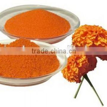 Lutein Powder /Xanthophyll/Marigold Extract/Marigold Extract Powder