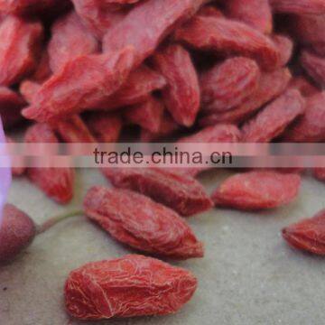 Certificate Organic Goji Berries Wholesale photo-3