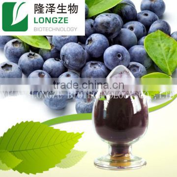 Professional manufactory supply Chinese bilberry P.E/ blueberry spray-dried fruit powder free sample supplied