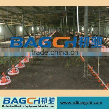 Automatic Poultry Equipment for Broiler Chicken