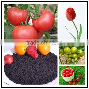 Fertilizers for Banana photo-2