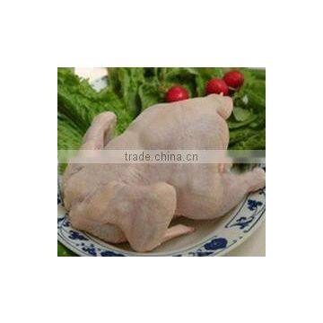 Poultry Processing Plant Machinery MJ-60 Poultry Plucking Machine for Chicken Duck Goose photo-2